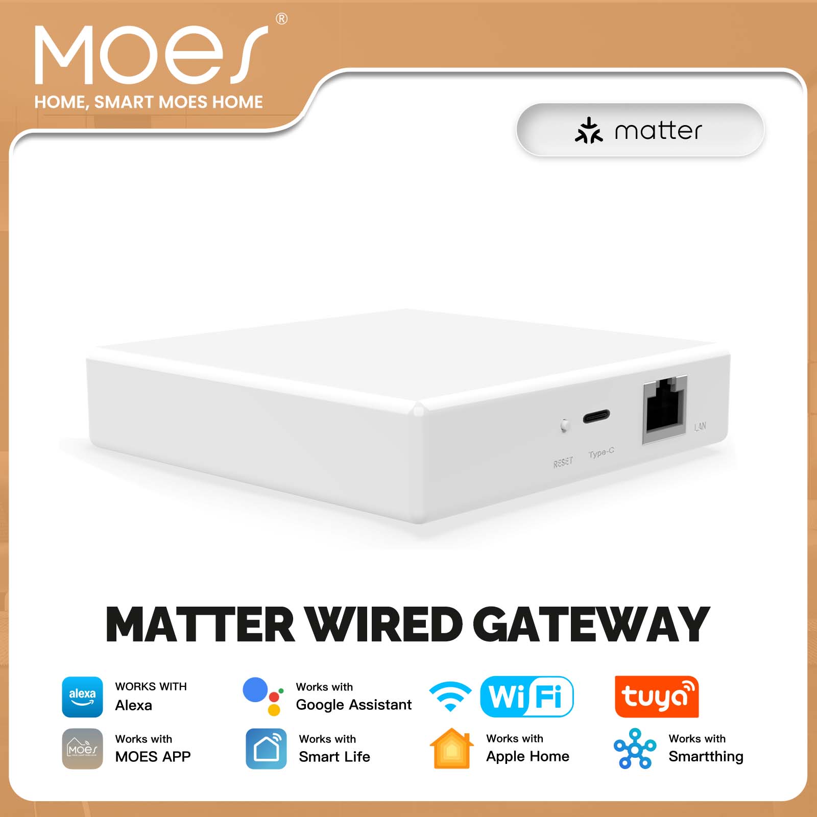 Smart Home Registration - Hub Gateway MOES Tuya ZigBee Matter