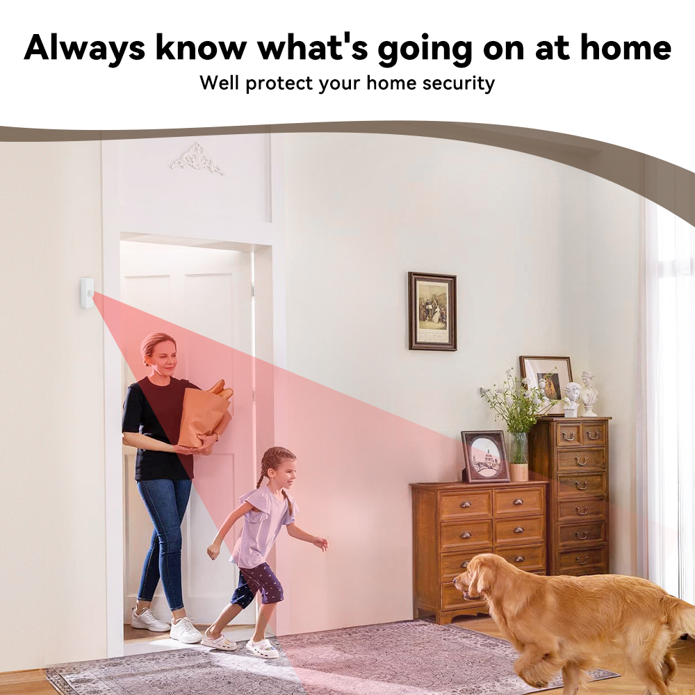 Sensor de Movimento PIR Inteli - Smart Home Networking avaliação e preço
