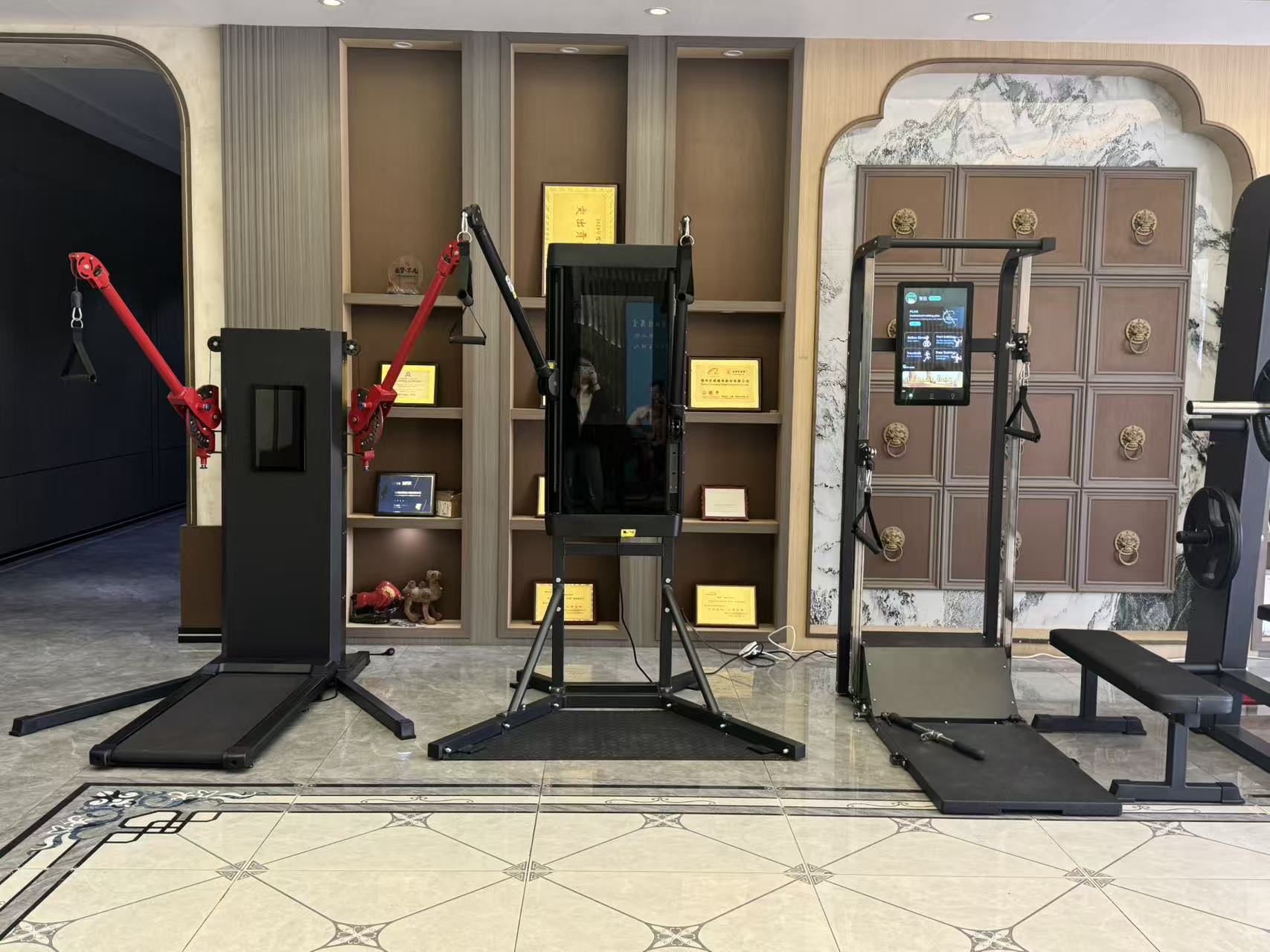 Equipamento profissional de al - Smart Home Gym Mirror avaliação e preço