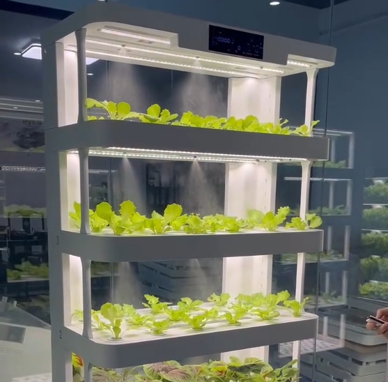 Máquina de cultivo hidropônico - Smart Home Ac avaliação e preço